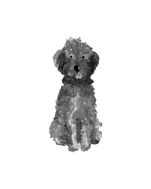 Goldendoodle Art Prints