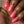 Load image into Gallery viewer, Shimmering Sunburst - Coral Nail Polish - 6
