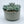 Load image into Gallery viewer, Concrete Succulent Garden Container - 1
