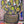 Load image into Gallery viewer, Cadiz Cactus in the dark - 1
