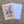 Load image into Gallery viewer, Texas Blue Bonnet Postcard - 1
