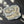 Load image into Gallery viewer, Dinosaurs Didn't Read Sticker - 1

