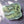 Load image into Gallery viewer, Dinosaurs Didn't Read Sticker - 2
