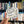 Load image into Gallery viewer, Dinosaurs Didn't Read Sticker - 5
