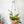 Load image into Gallery viewer, Handmade Macrame Disco Ball Plant Hanger - 5
