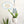 Load image into Gallery viewer, Handmade Daisy Plant Hangers - 7
