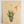 Load image into Gallery viewer, Cactus and Hummingbird Art Print - 2
