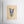 Load image into Gallery viewer, Bluebonnets and Butterfly Art Print - 2
