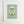 Load image into Gallery viewer, Luna Moth Art Print | Green Background - 2
