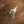 Load image into Gallery viewer, Cactus and Hummingbird Sticker - 1
