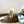 Load image into Gallery viewer, Cactus and Hummingbird Sticker - 2
