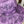 Load image into Gallery viewer, Selena Custom hat  - 5
