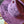 Load image into Gallery viewer, Selena Custom hat  - 12

