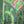 Load image into Gallery viewer, Green Archways with Pink Flowers Print
