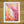 Load image into Gallery viewer, Pink South Asian Palace with Flowers Art Print
