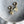 Load image into Gallery viewer, Golden Glow Hoop Earrings

