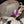 Load image into Gallery viewer, Gray Cow Hide Hat
