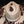 Load image into Gallery viewer, Beige and Brown Cowhide Hat
