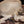 Load image into Gallery viewer, Beige and Brown Cowhide Hat
