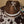 Load image into Gallery viewer, 611fc05e3c4ce80992caae23_17637079493803553451419168596760_1763707967905.jpg
