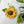 Load image into Gallery viewer, 611fc05e3c4ce80992caae23_20250224-142825_1755194768470.jpg
