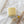 Load image into Gallery viewer, 611fc05e3c4ce80992caae23_9h8a0485-2_1749941946311.jpg
