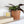 Load image into Gallery viewer, 611fc05e3c4ce80992caae23_9h8a1138_1749941946311.jpg
