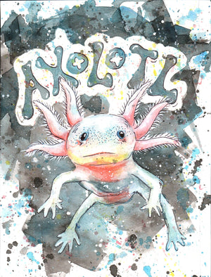 611fc05e3c4ce80992caae23_axolotl_1748015449377.jpg