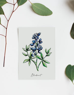 611fc05e3c4ce80992caae23_bluebonnet-mock_1748014651162.jpg