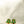 Load image into Gallery viewer, 611fc05e3c4ce80992caae23_cedar-studs_1762725502446.jpg
