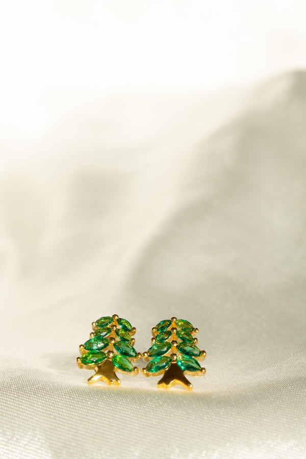611fc05e3c4ce80992caae23_cedar-studs_1762725502446.jpg