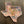 Load image into Gallery viewer, 611fc05e3c4ce80992caae23_coptxtray_1750352863813.jpg
