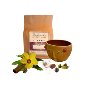 611fc05e3c4ce80992caae23_current-olla-blend_1769626795112.png