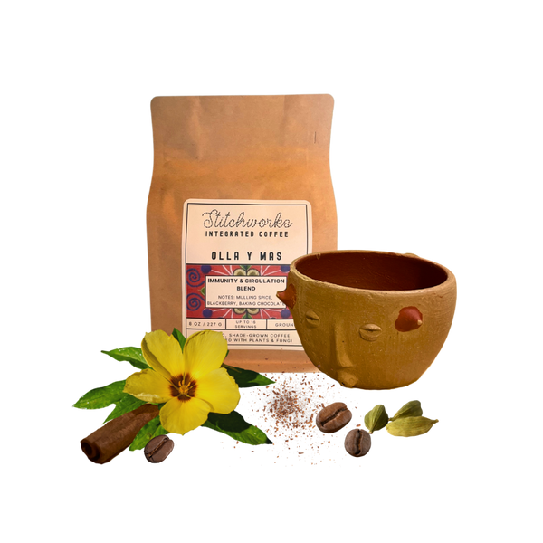 611fc05e3c4ce80992caae23_current-olla-blend_1769626795112.png