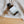 Load image into Gallery viewer, Shower Body Oil | Lemongrass &amp; Eucalyptus
