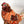 Load image into Gallery viewer, 611fc05e3c4ce80992caae23_dscf9099_1783030006858.jpg
