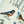 Load image into Gallery viewer, 611fc05e3c4ce80992caae23_dscf9181_1784221003391.jpg

