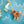 Load image into Gallery viewer, 611fc05e3c4ce80992caae23_dscf9188_1784222218502.jpg
