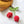 Load image into Gallery viewer, 611fc05e3c4ce80992caae23_e1b6b883058c5f385a98af78e0db6c31ac3b3e1890b4fa31b5a407b72f1d6e7f_1765734771002.jpeg
