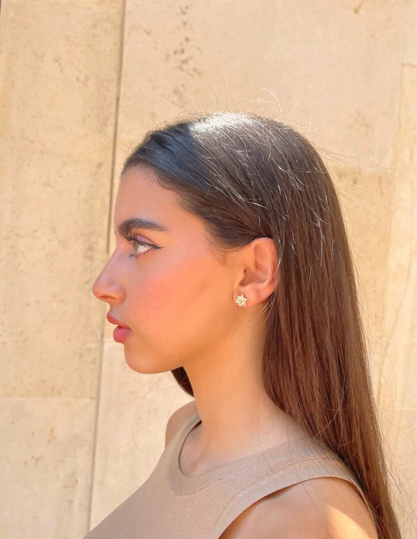 611fc05e3c4ce80992caae23_earrings_1763436274055.jpg