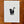 Load image into Gallery viewer, 611fc05e3c4ce80992caae23_ellen-orchard-cat-butt-2_1768096108809.jpg
