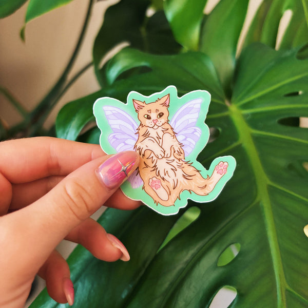 611fc05e3c4ce80992caae23_fairy-cat_1768866423337.jpeg