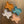 Load image into Gallery viewer, 611fc05e3c4ce80992caae23_fourtexastrays_1761671454929.jpg
