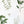 Load image into Gallery viewer, 611fc05e3c4ce80992caae23_herbs-prints_1774991250725.jpg
