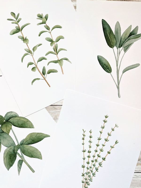 611fc05e3c4ce80992caae23_herbs-prints_1774991250725.jpg