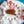 Load image into Gallery viewer, 611fc05e3c4ce80992caae23_img-0873_1754430635868.jpeg
