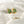 Load image into Gallery viewer, 611fc05e3c4ce80992caae23_img-1625-2_1762725444952.jpg
