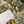 Load image into Gallery viewer, 611fc05e3c4ce80992caae23_img-2108_1764096030290.jpeg
