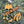 Load image into Gallery viewer, 611fc05e3c4ce80992caae23_img-3823_1761436839508.jpg
