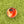 Load image into Gallery viewer, 611fc05e3c4ce80992caae23_img-4773_1770489688262.jpeg
